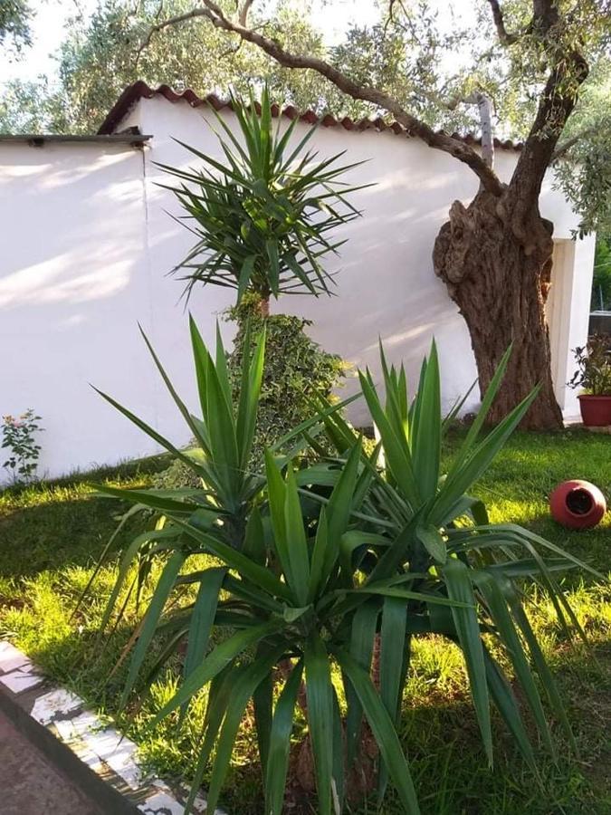Apartamento Valia House Thassos Skála Kallirákhis Exterior foto