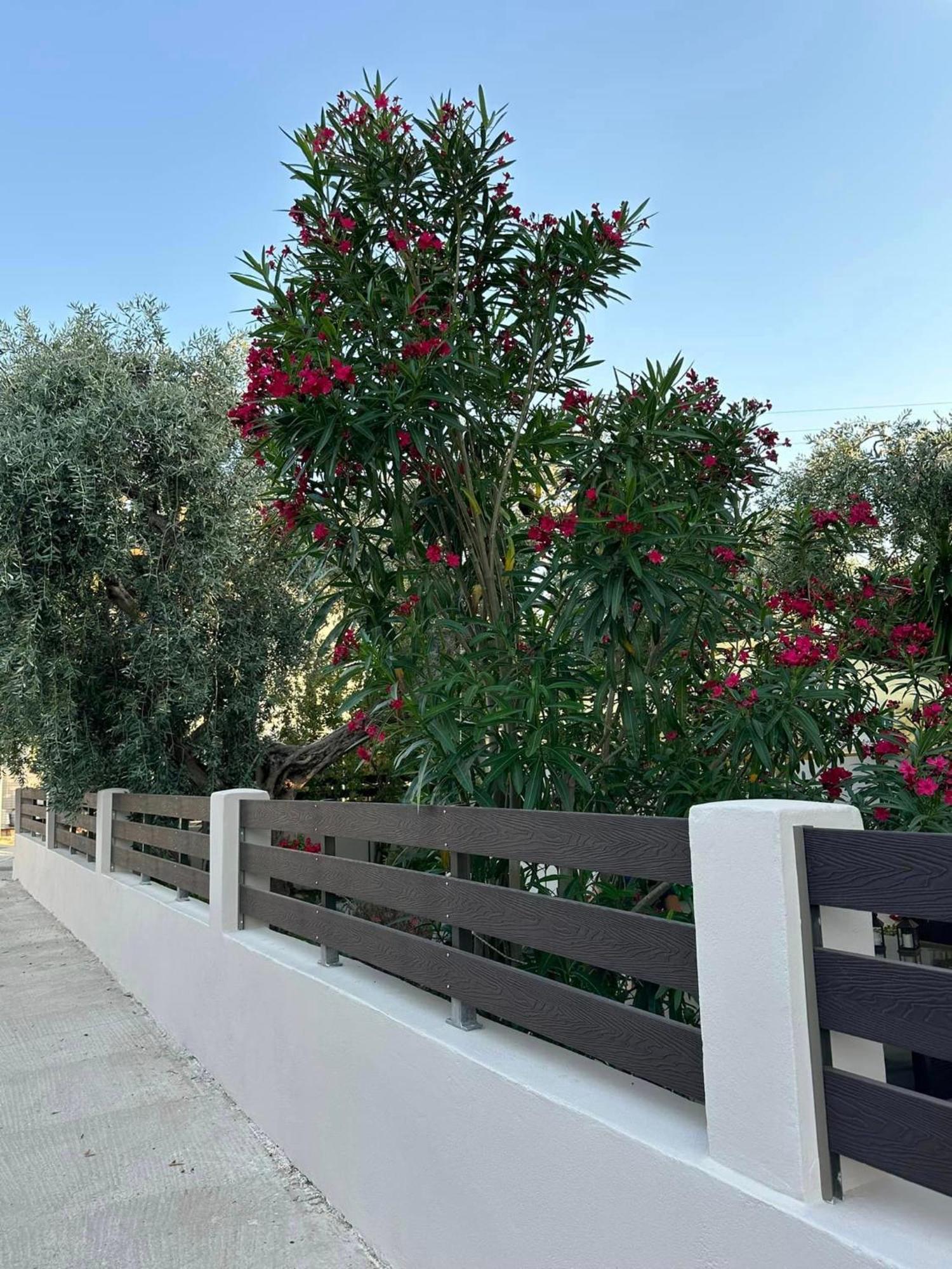 Apartamento Valia House Thassos Skála Kallirákhis Exterior foto