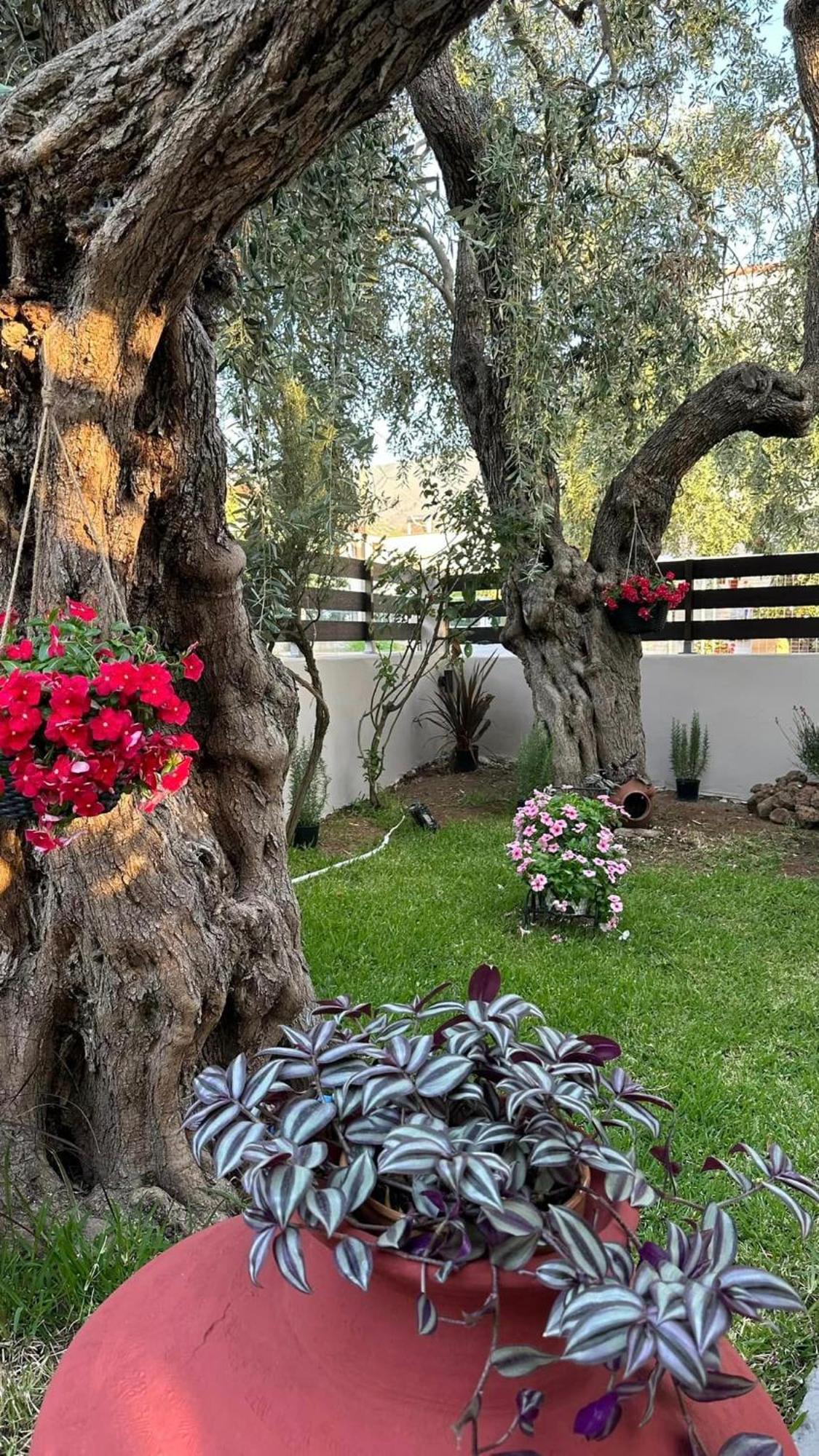 Apartamento Valia House Thassos Skála Kallirákhis Exterior foto